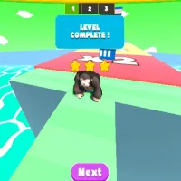 Monkeys Fighting