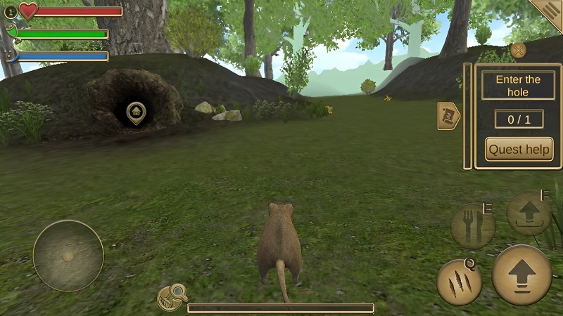 Forest Mouse